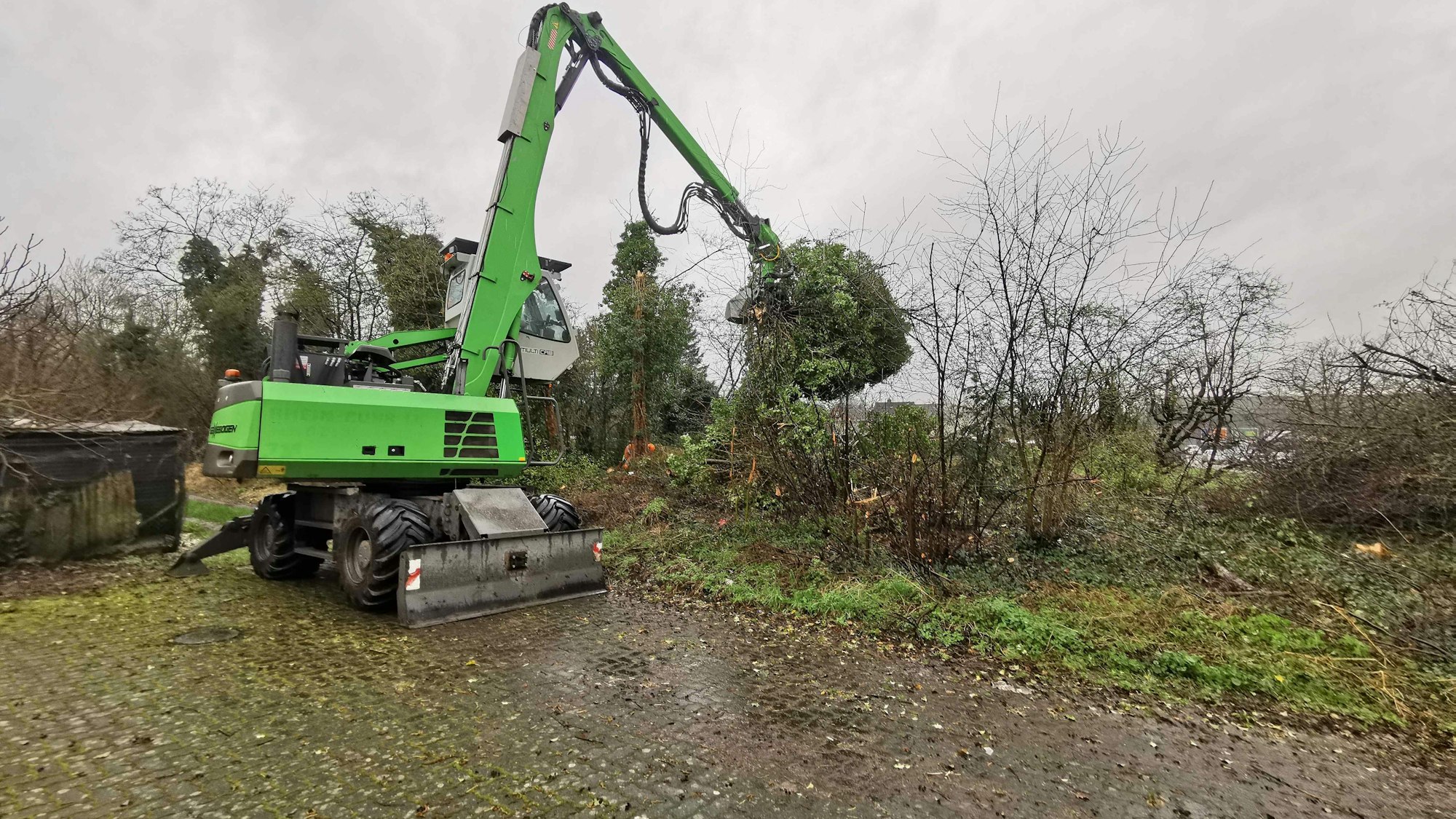 Entlang der alten Bahntrasse von Kaster nach Harff werden derzeit die Bäume geschnitten und teilweise sogar entfernt.