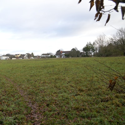 Hier könnten bald Häuser gebaut werden - und auch eine Kita: Die Altvolberger Wiese.