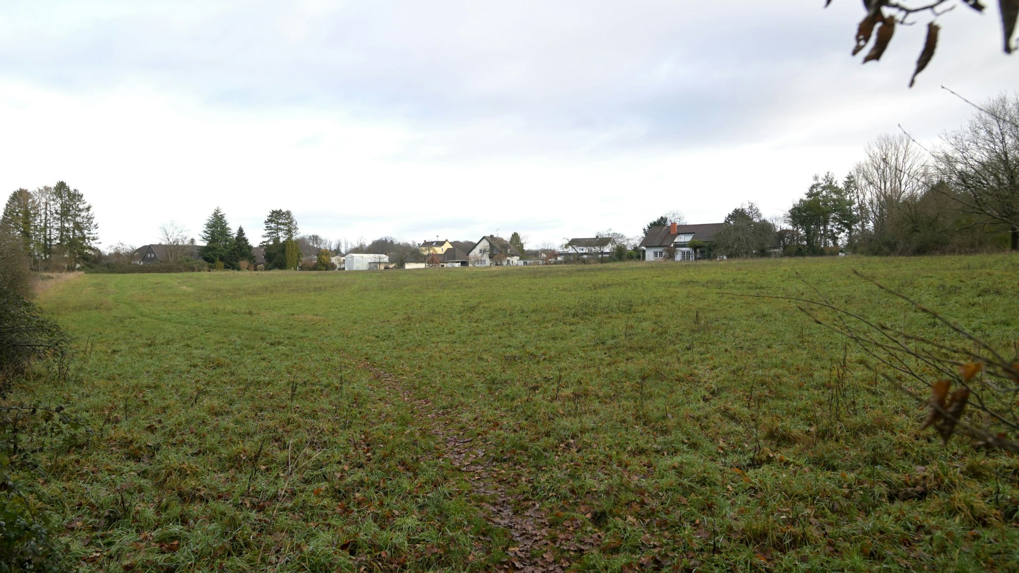 Hier könnten bald Häuser gebaut werden - und auch eine Kita: Die Altvolberger Wiese.