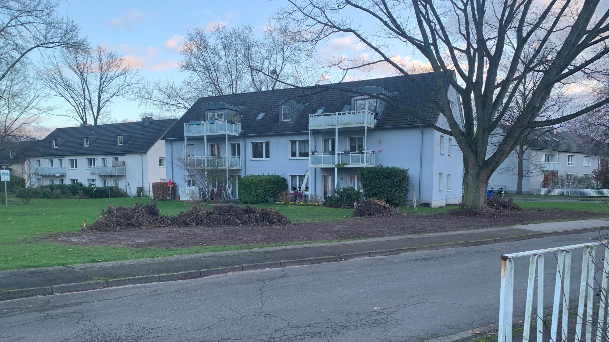Heinz Rakel beklagt, dass das Wohnungsunternehmen Vivawest eine Hecke an der Theodor-Storm-Straße gerodet hat.