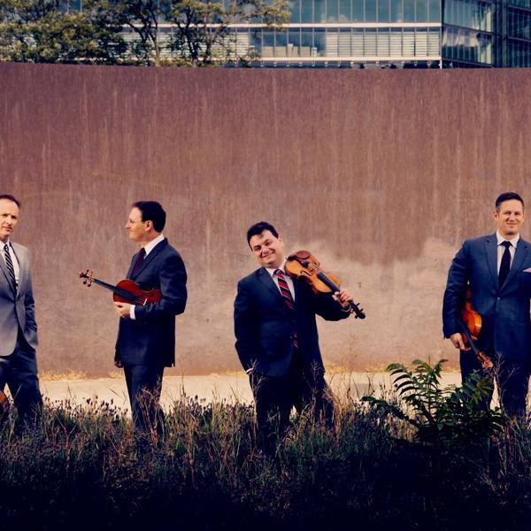 Das Bild zeigt die vier Musiker vor einer Wand im hohen Gras stehen. Alle halten ihre Streichinstrumente in der Hand. Der Cellist trägt einen grauen Anzug, die anderen blaue.