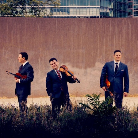 Das Bild zeigt die vier Musiker vor einer Wand im hohen Gras stehen. Alle halten ihre Streichinstrumente in der Hand. Der Cellist trägt einen grauen Anzug, die anderen blaue.
