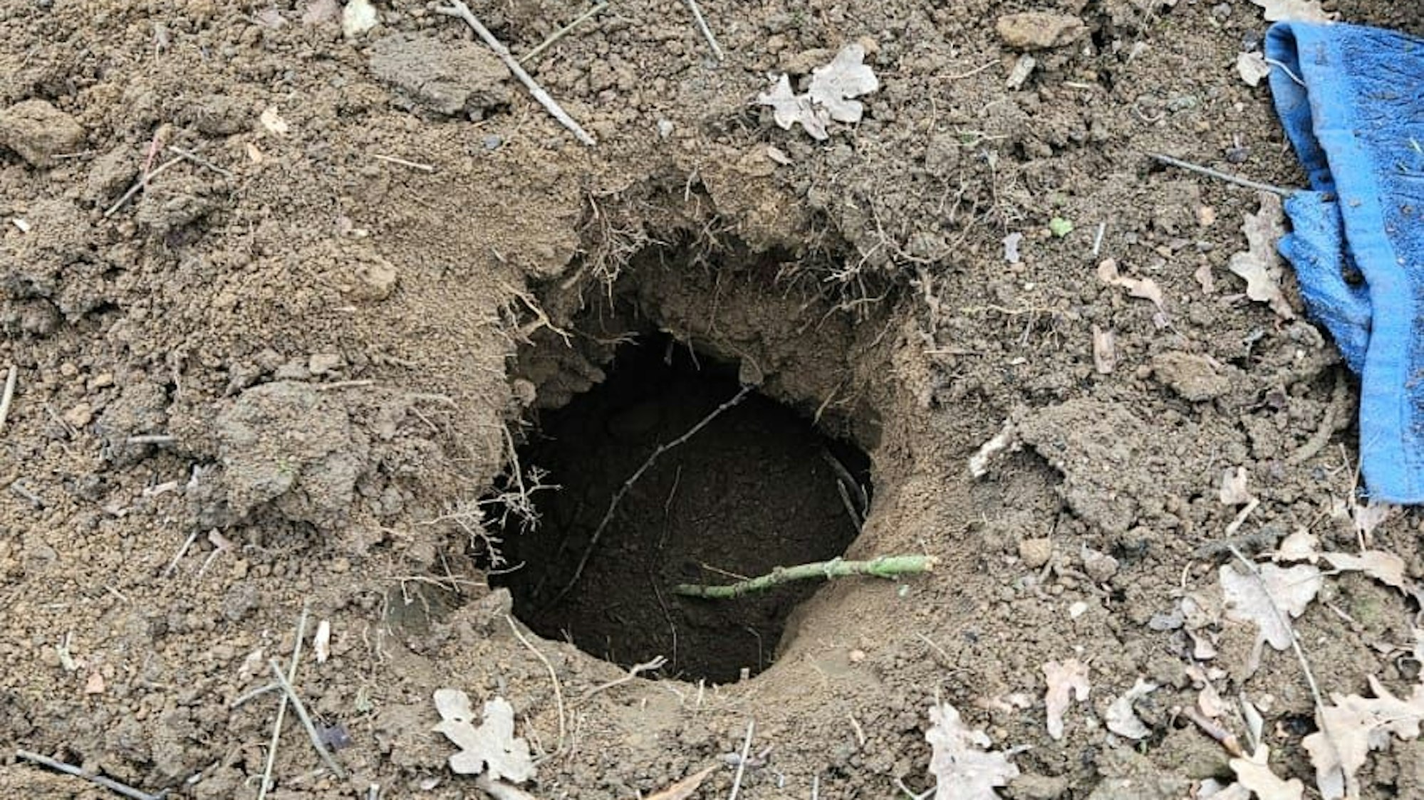 Ein Loch im Erdboden.