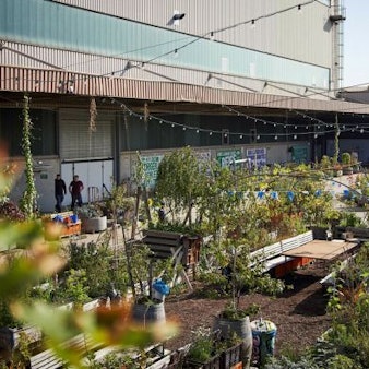 Die Beetanlage im Carlsgarten