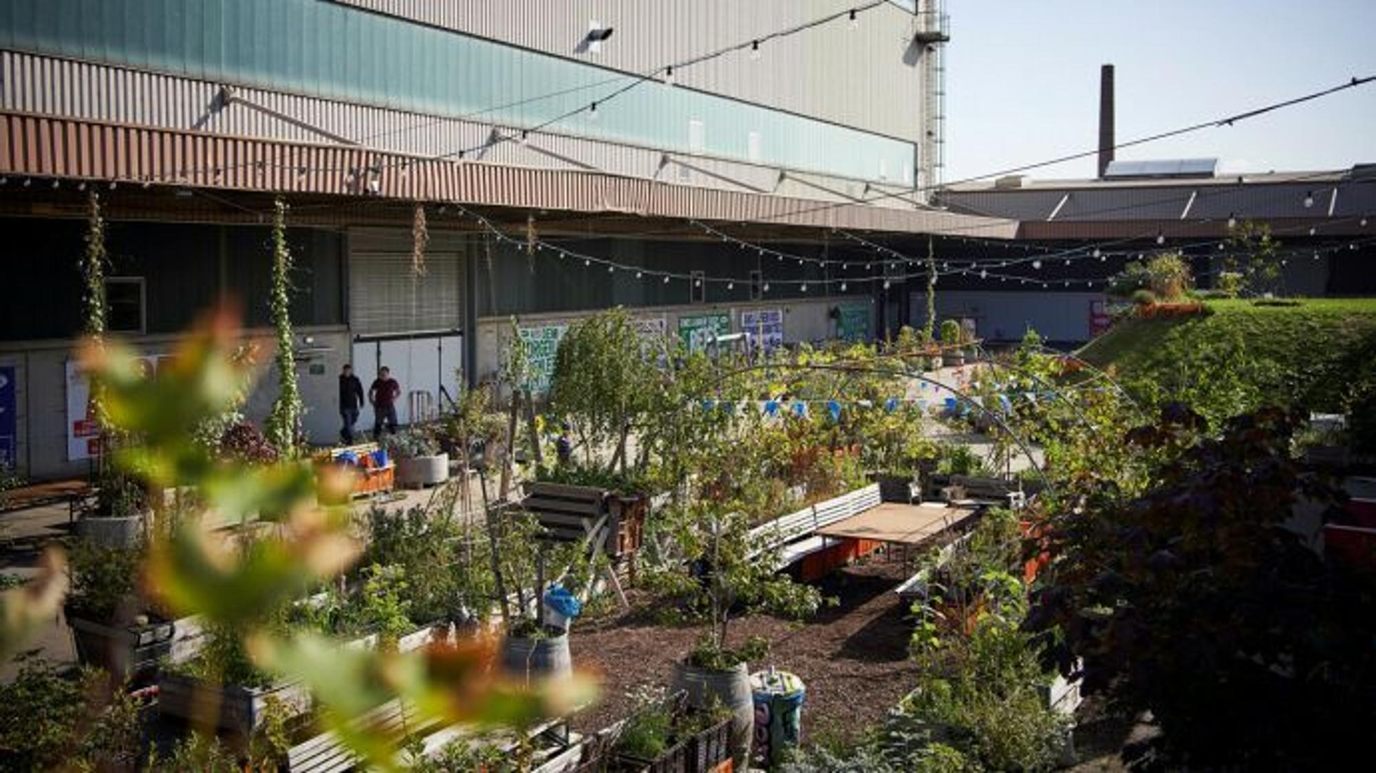 Carlsgarten mit Depot