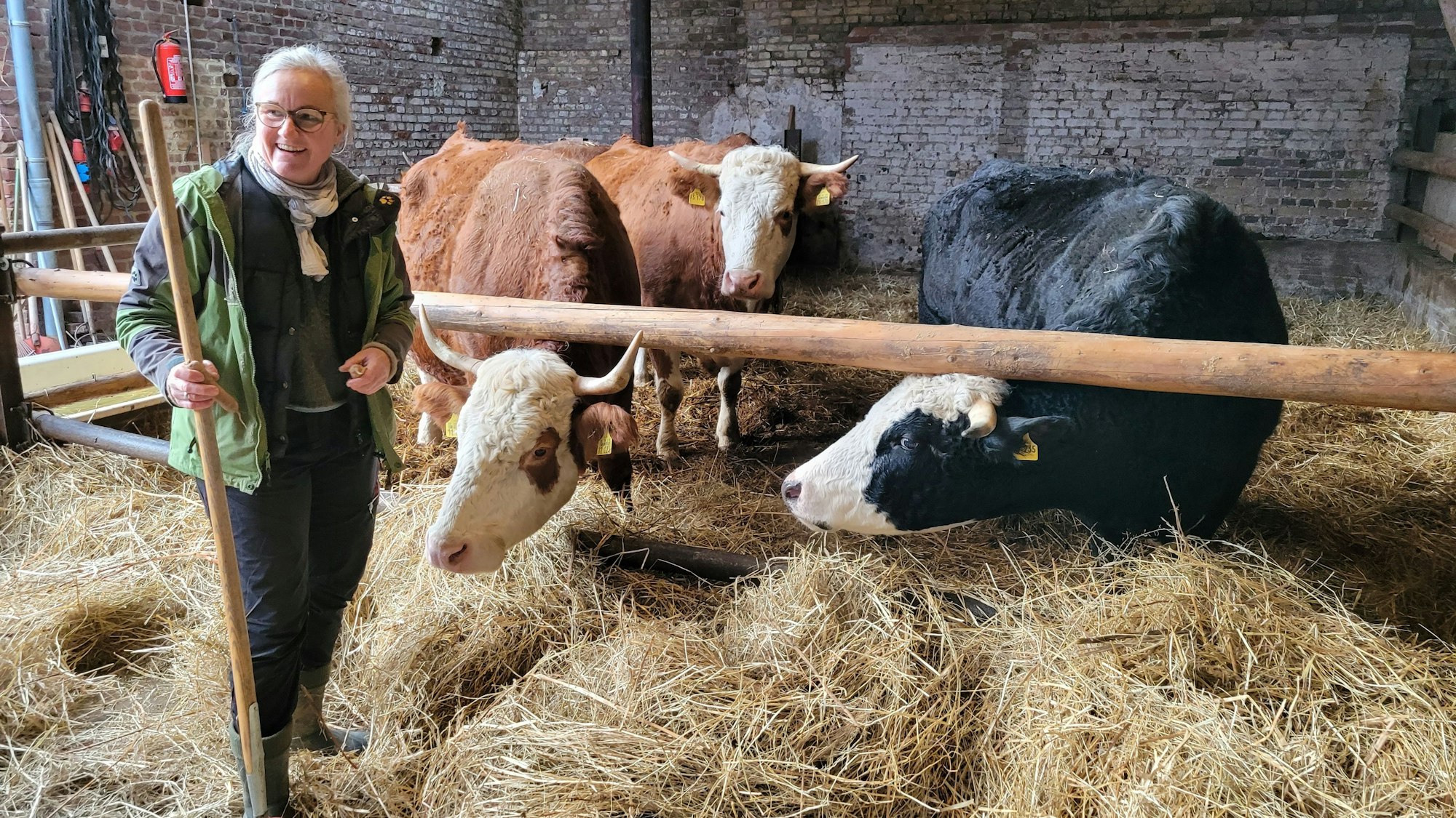 Eine Frau steht in einem Stall, in einer Hand hält sie eine Heugabel, neben und hinter ihr sind Kühe zu sehen.