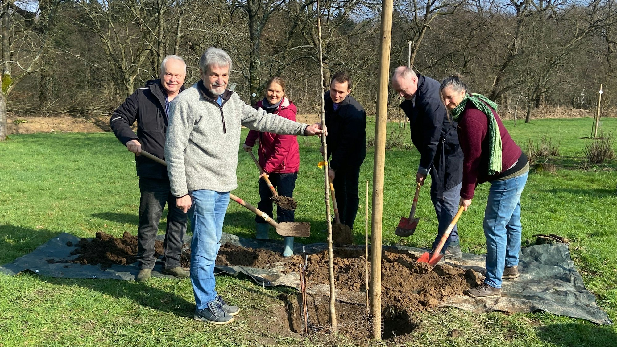 Sechs Menschen pflanzen gemeinsam einen Setzling.