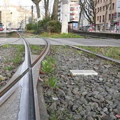 Auf diesen und allen anderen Kölner Stadtbahn-Gleisen geht nichts am Donnerstag und Freitag.