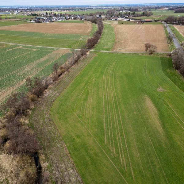 Das Bild zeigt den Ort, an dem der Erftverband vor Schweinheim ein Hochwasserrückhaltebecken errichten will. Es ist eine Aufnahme aus der Luft und zeigt eine Grünfläche.