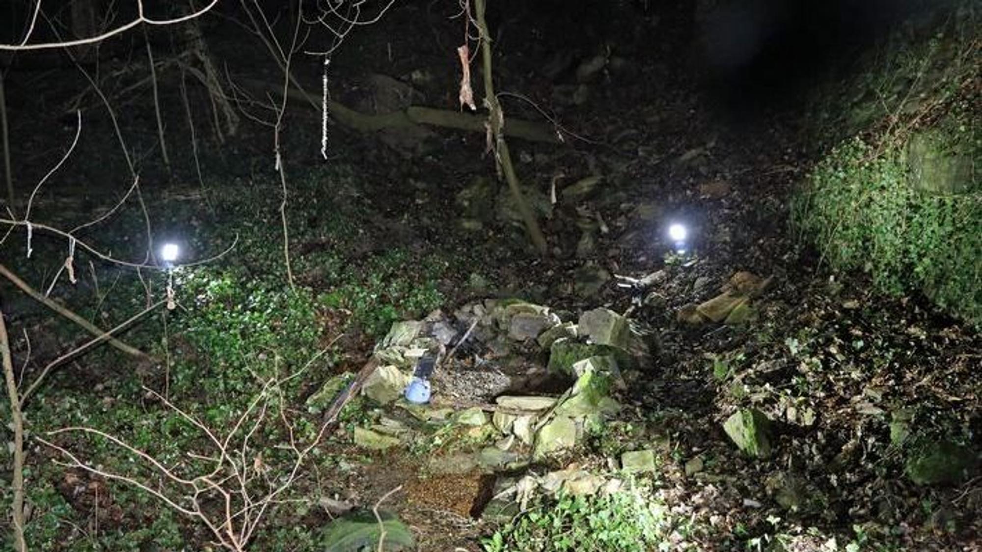 Übersichtsaufnahme der Polizei von dem im Wald bei Mettmann gefundenen Steinkreis mit abgelegten Tierkadavern.