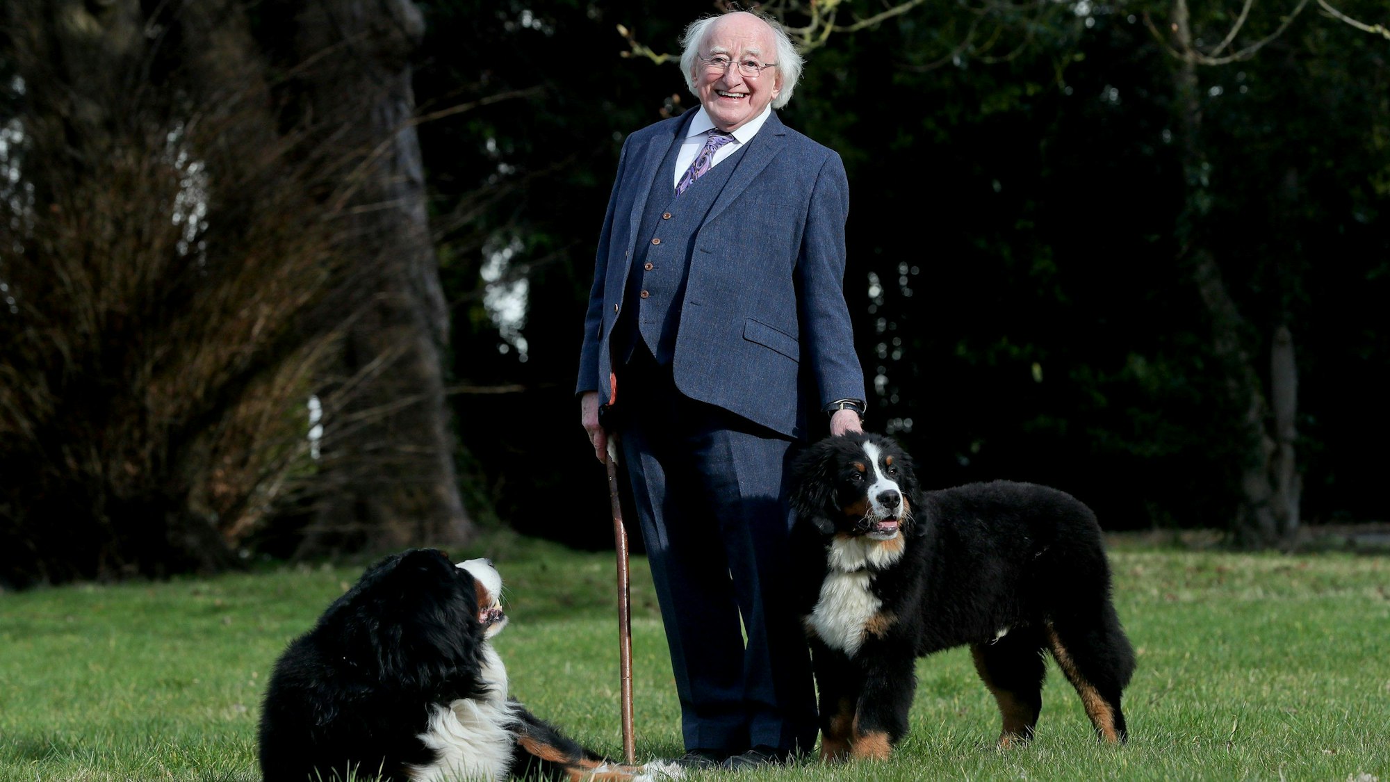 HANDOUT - 05.03.2021, Irland, Dublin: Michael D. Higgins, Präsident von Irland, zeigt bei einem Spaziergang seinen neuen fünf Monate alten Berner Sennenhund Misneach (r, Irisch für «Mut»).