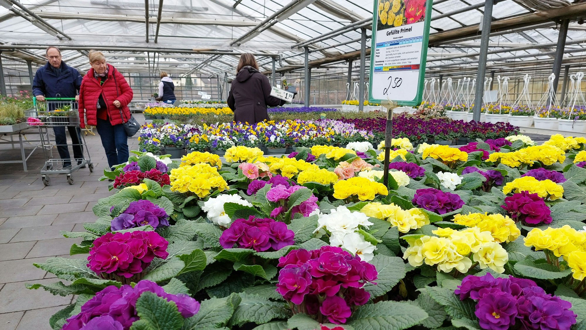 Kunden gehen einen Gang mit blühenden Blumen entlang