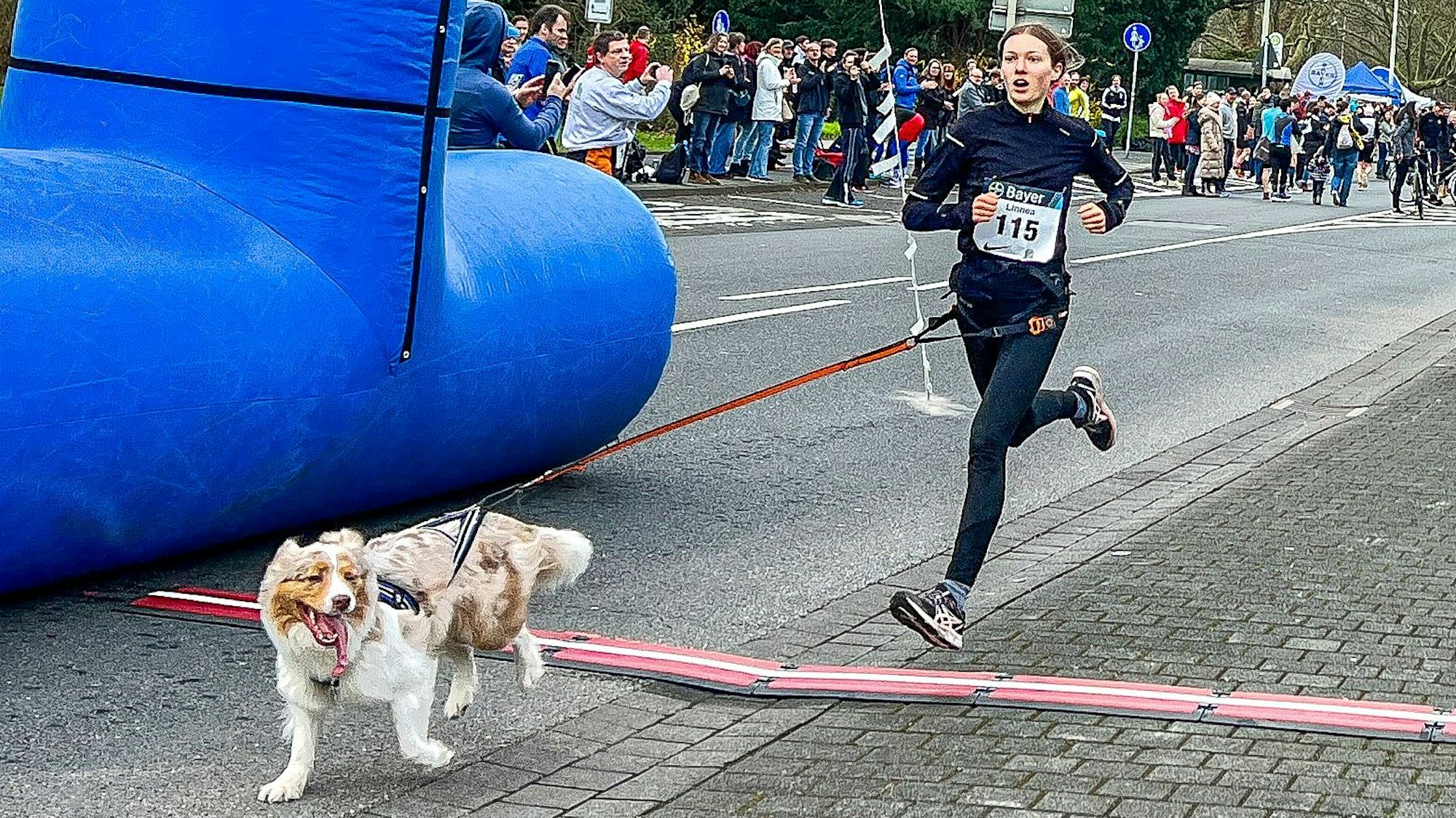 Linnea Wendt mit ihrem Hund Zephyr auf der Strecke rund ums Bayerkreuz