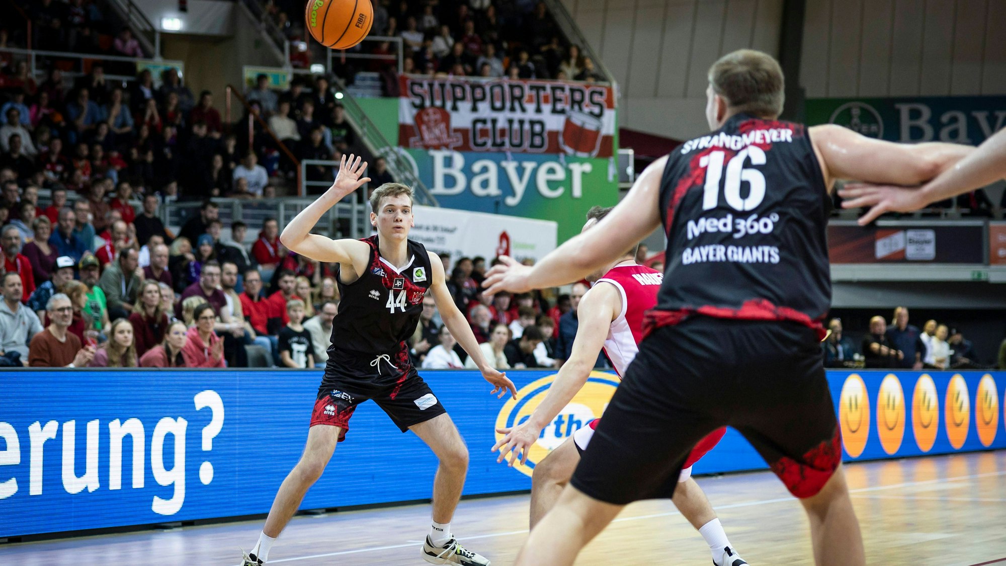 Basketball ProB Nord, Bayer Giants Leverkusen vs. Rheinstars Köln, 23.12.23 Lennart Litera Bayer Giants Leverkusen 44 Leverkusen, 23.12.23 - Basketball ProB Nord, Bayer Giants Leverkusen vs. Rheinstars Köln *** Basketball ProB North, Bayer Giants Leverkusen vs Rheinstars Cologne, 23 12 23 Lennart Litera Bayer Giants Leverkusen 44 Leverkusen, 23 12 23 Basketball ProB North, Bayer Giants Leverkusen vs Rheinstars Cologne Copyright: xBEAUTIFULxSPORTS/AxelxKohringx