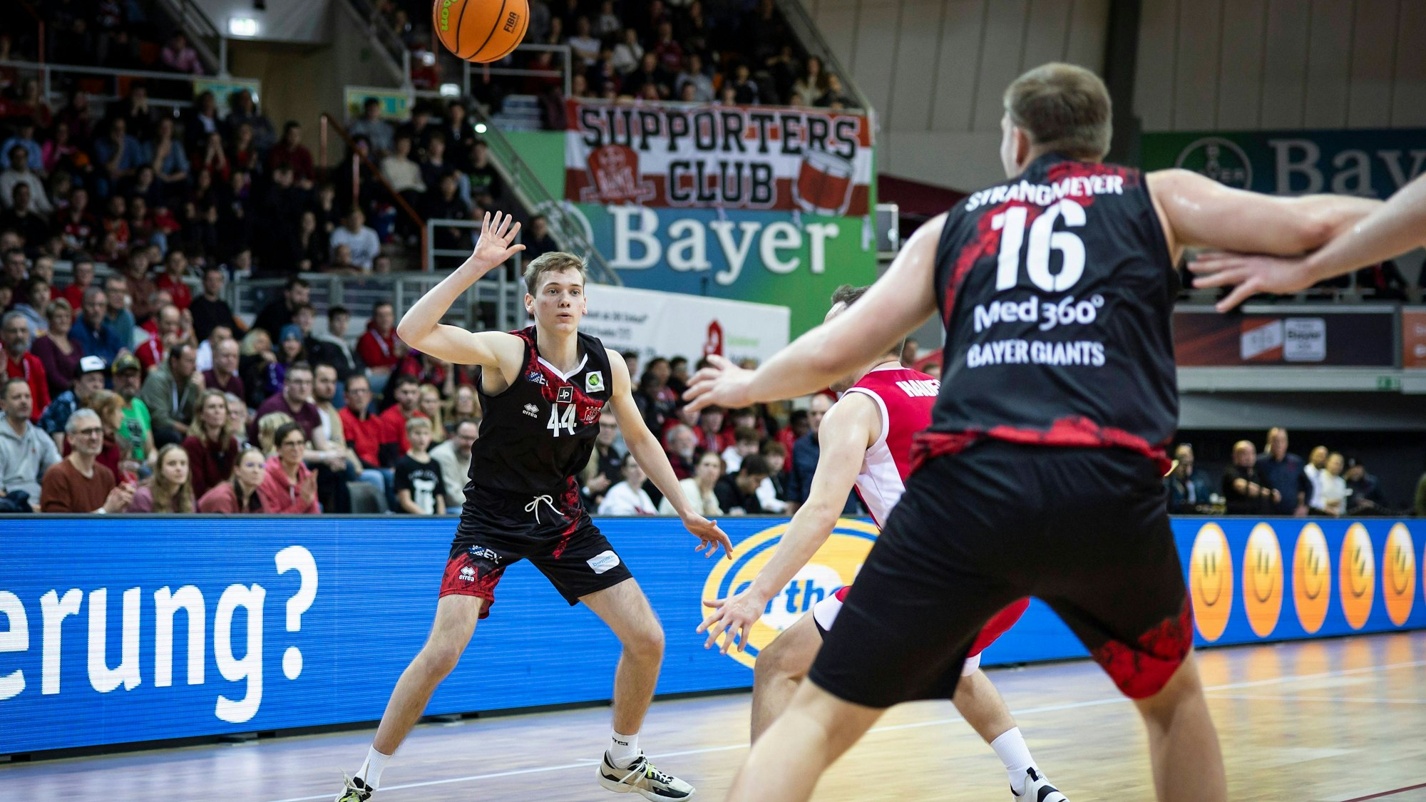 Basketball ProB Nord, Bayer Giants Leverkusen vs. Rheinstars Köln, 23.12.23 Lennart Litera Bayer Giants Leverkusen 44 Leverkusen, 23.12.23 - Basketball ProB Nord, Bayer Giants Leverkusen vs. Rheinstars Köln *** Basketball ProB North, Bayer Giants Leverkusen vs Rheinstars Cologne, 23 12 23 Lennart Litera Bayer Giants Leverkusen 44 Leverkusen, 23 12 23 Basketball ProB North, Bayer Giants Leverkusen vs Rheinstars Cologne Copyright: xBEAUTIFULxSPORTS/AxelxKohringx
