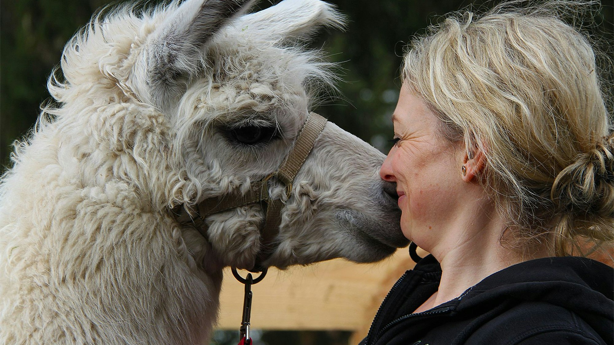 Das Bild zeigt Julia Samans mit einem ihrer Tiere.