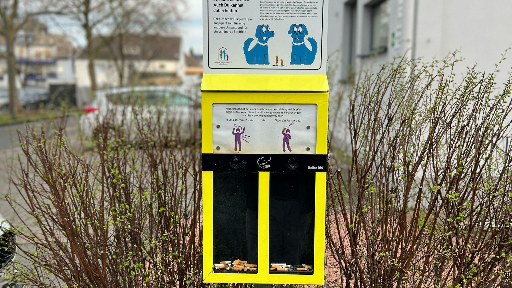 Ein gelber Sammelbehälter für Zigarettenkippen mit zwei Fächern.