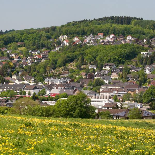 Die Grünen wollen, dass in Overath eine bessere Umgebung für Insekten geschaffen wird.