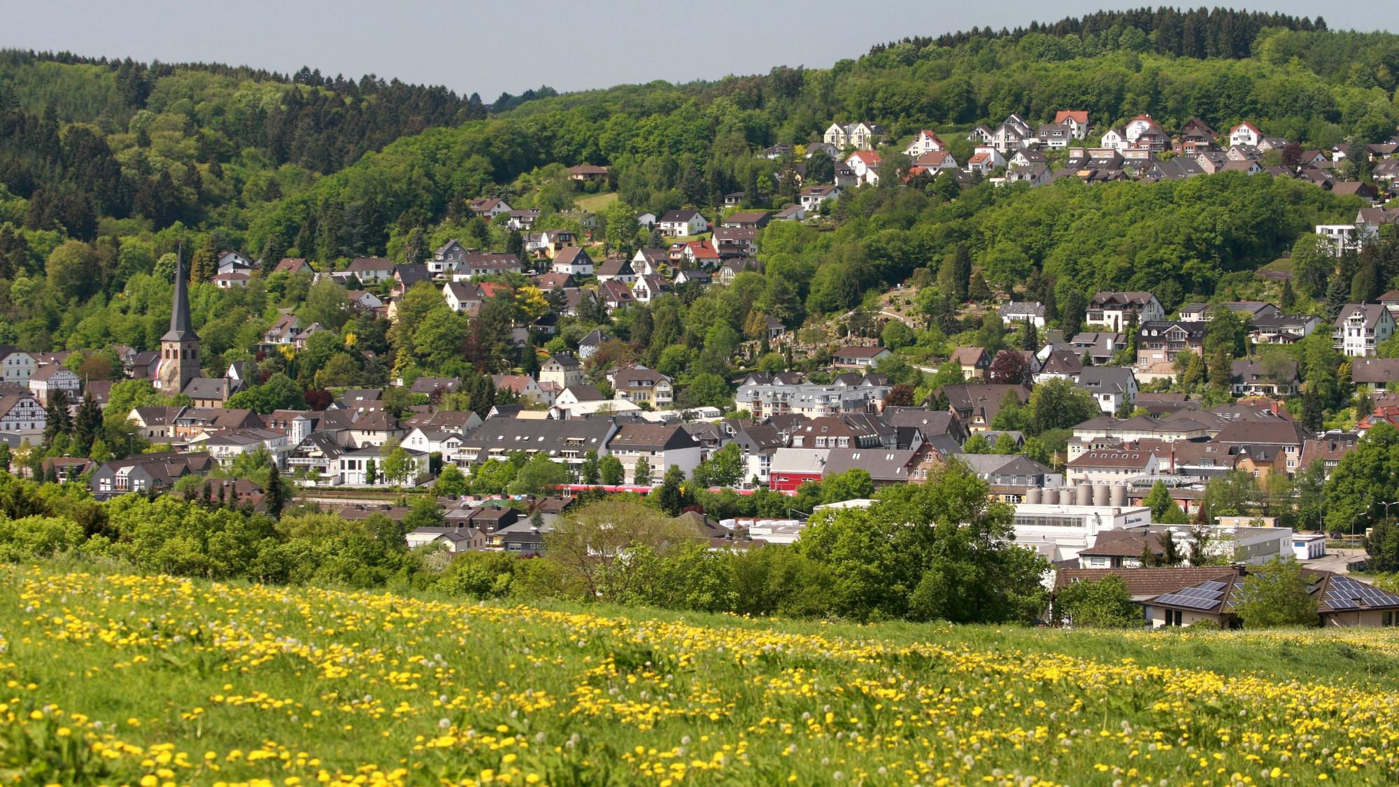 Die Grünen wollen, dass in Overath eine bessere Umgebung für Insekten geschaffen wird.