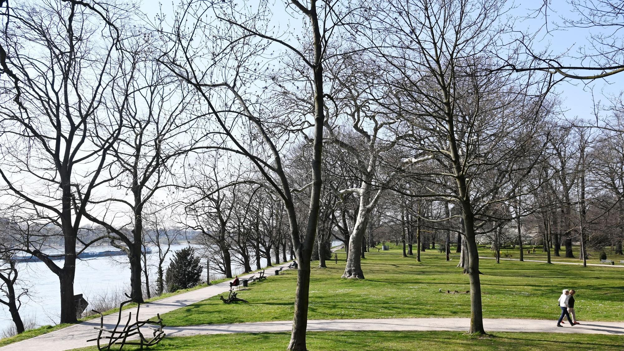 Auf dem Bild ist der Park zu sehen, auf den Wiesen einige Bäume und Skulpturen. Rechts gehen zwei Menschen einen Weg entlang, links im Bild sieht man das Rheinufer.