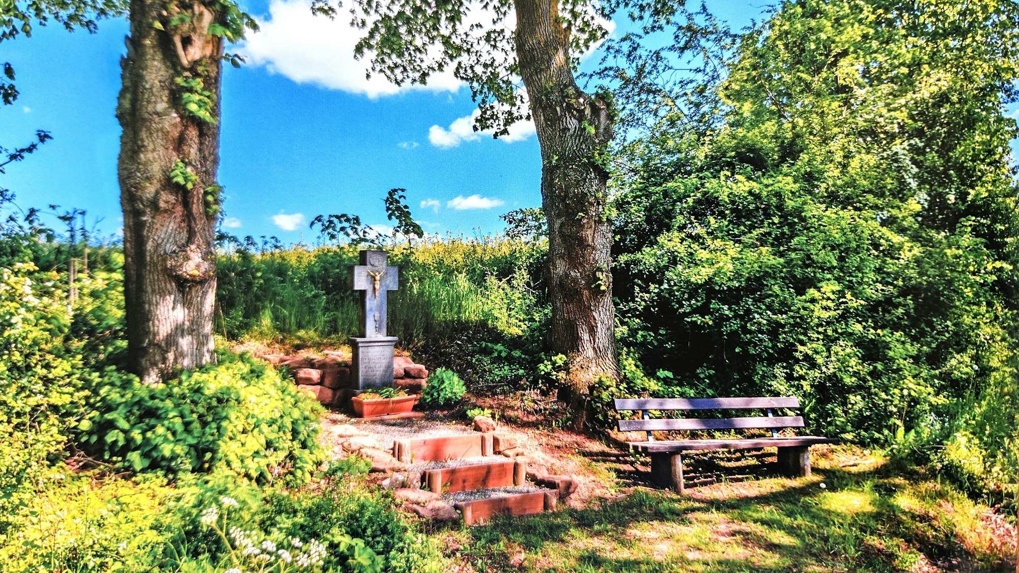 Das Kreuz am Dotteler Berg wird von zwei Bäumen flankiert. Neben den Stufen, die zu dem Kreuz führen, steht eine Sitzbank.