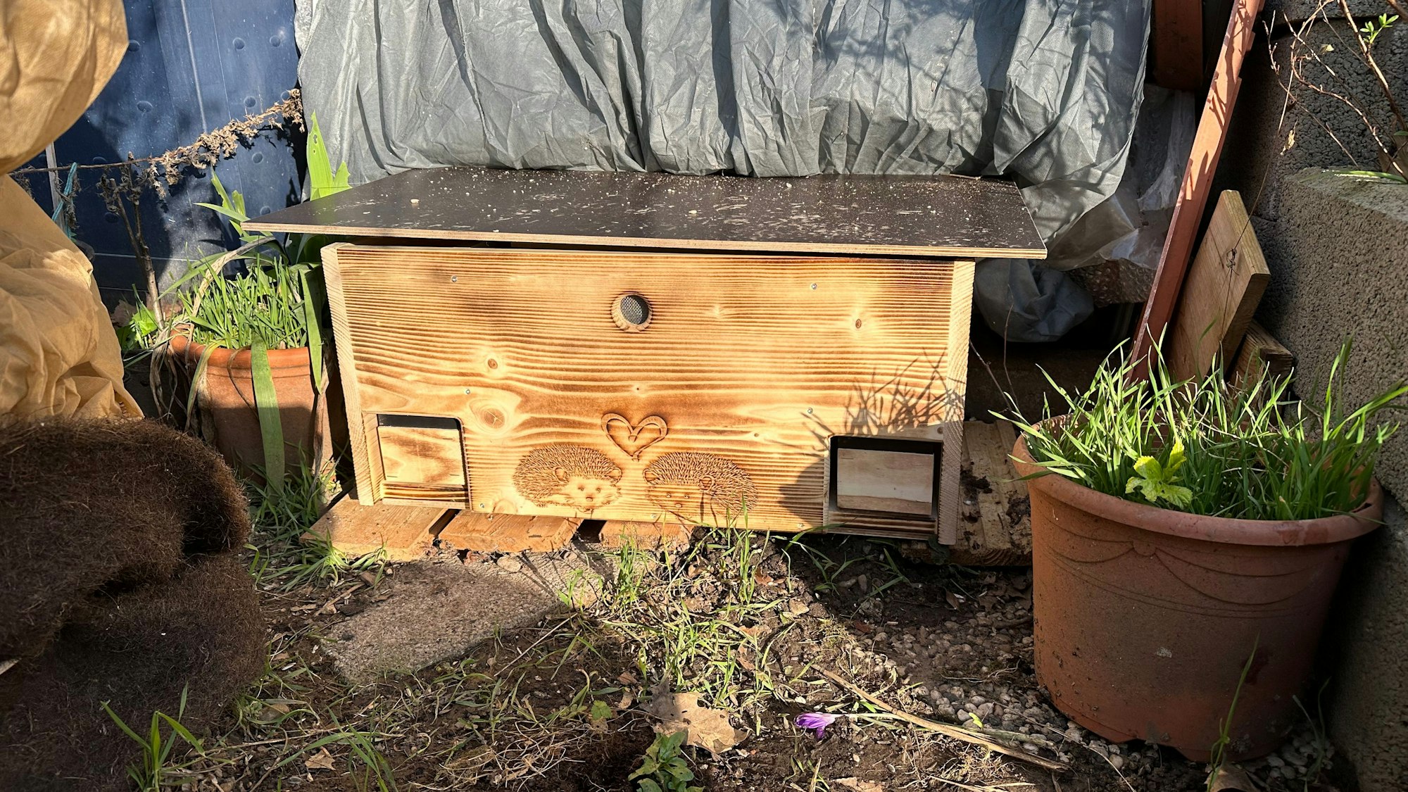Futterkasten für Igel, Ratten trauen sich wegen der Klappen nicht hinein.