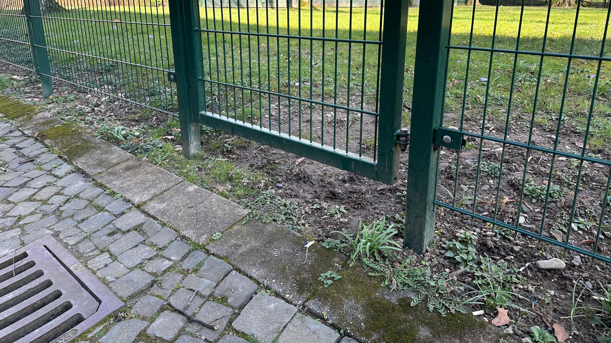 Die Spitzen von Zäunen über der Erde können Igel verletzen, der Raum unter dem Tor hingegen ist gut.