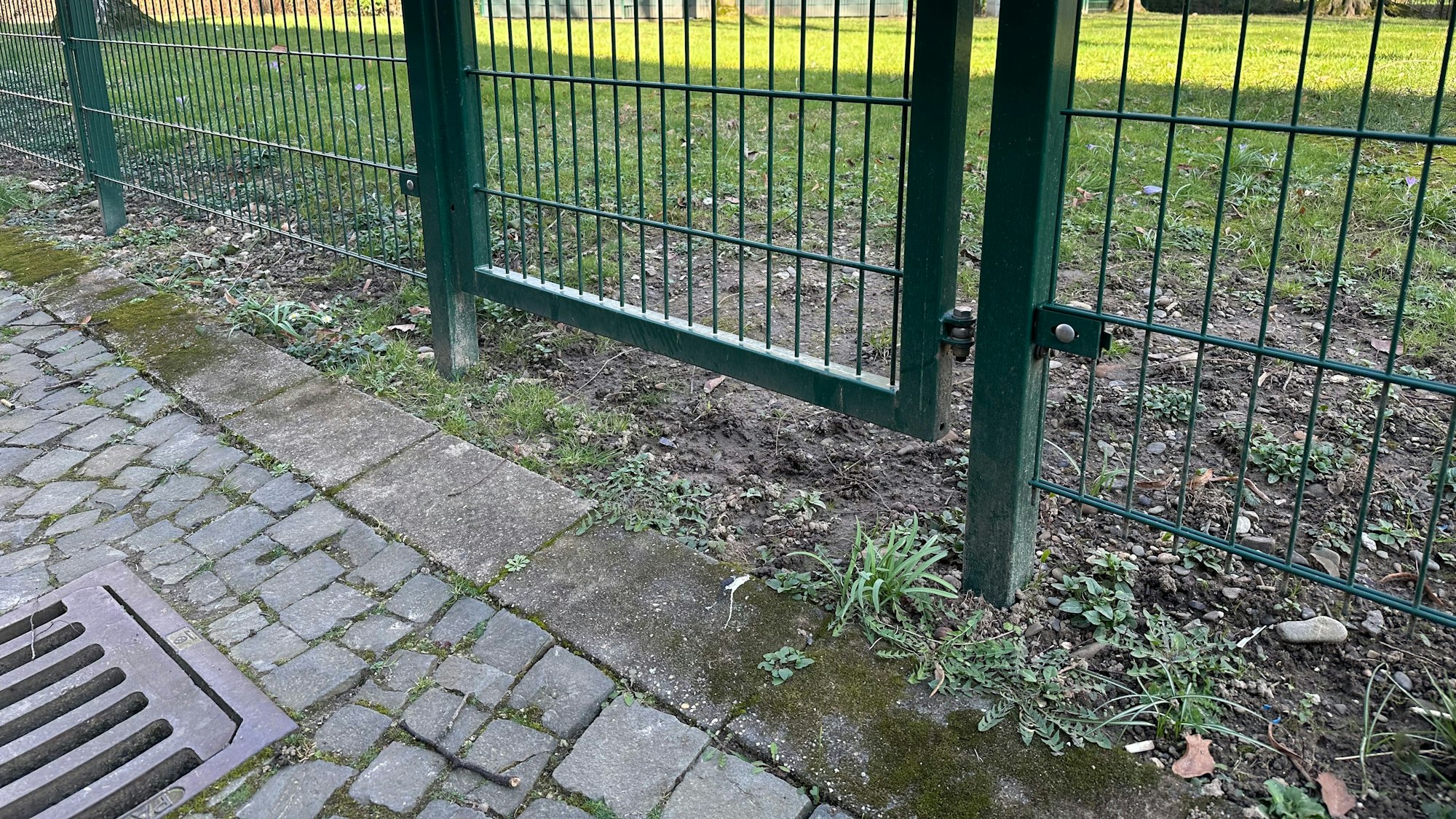 Die Spitzen von Zäunen über der Erde können Igel verletzen, der Raum unter dem Tor hingegen ist gut.