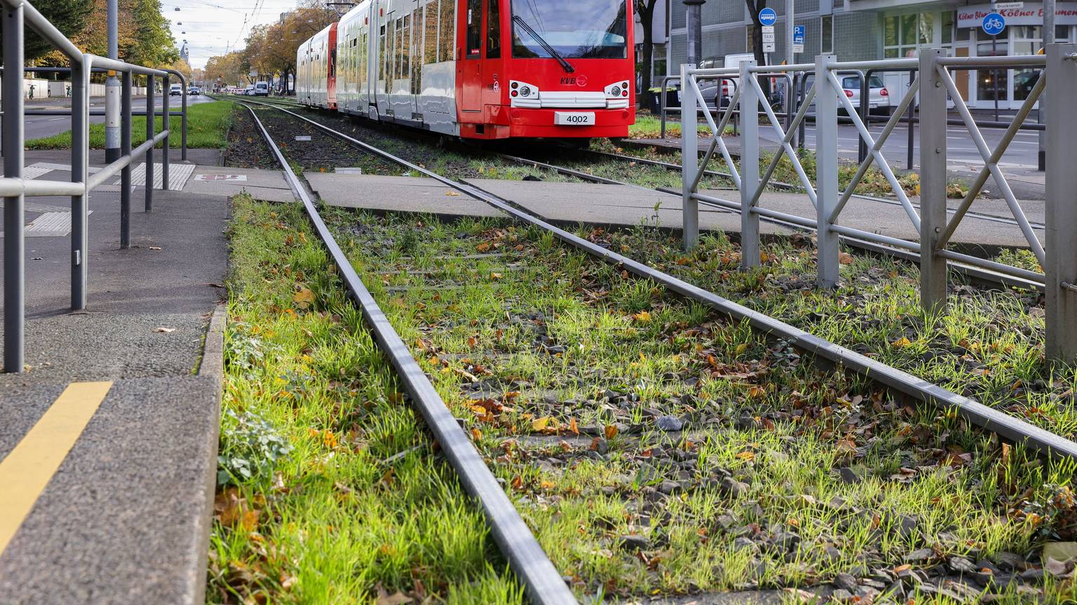 Begrünte Gleise, wie hier an der Haltestelle Melaten an der Aachener Straße, soll es bald auch rund um den Barbarossaplatz geben.