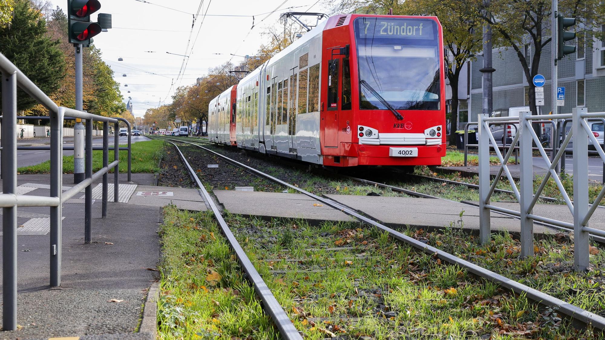 Begrünte Gleise, wie hier an der Haltestelle Melaten an der Aachener Straße, soll es bald auch rund um den Barbarossaplatz geben.