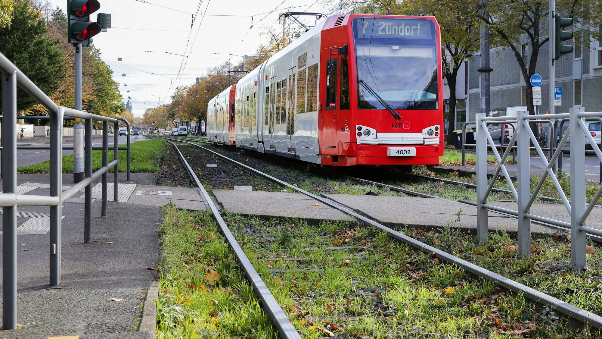 Begrünte Gleise, wie hier an der Haltestelle Melaten an der Aachener Straße, soll es bald auch rund um den Barbarossaplatz geben.
