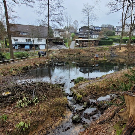 Sieht wüst aus, ist aber so gewollt: In Waldbröl ist der Wiedenhofpark nun bereit für neue, vor allem heimische Sträucher und Gewächse. Am Wochenende hat vor allem der Nabu dort geschuftet.