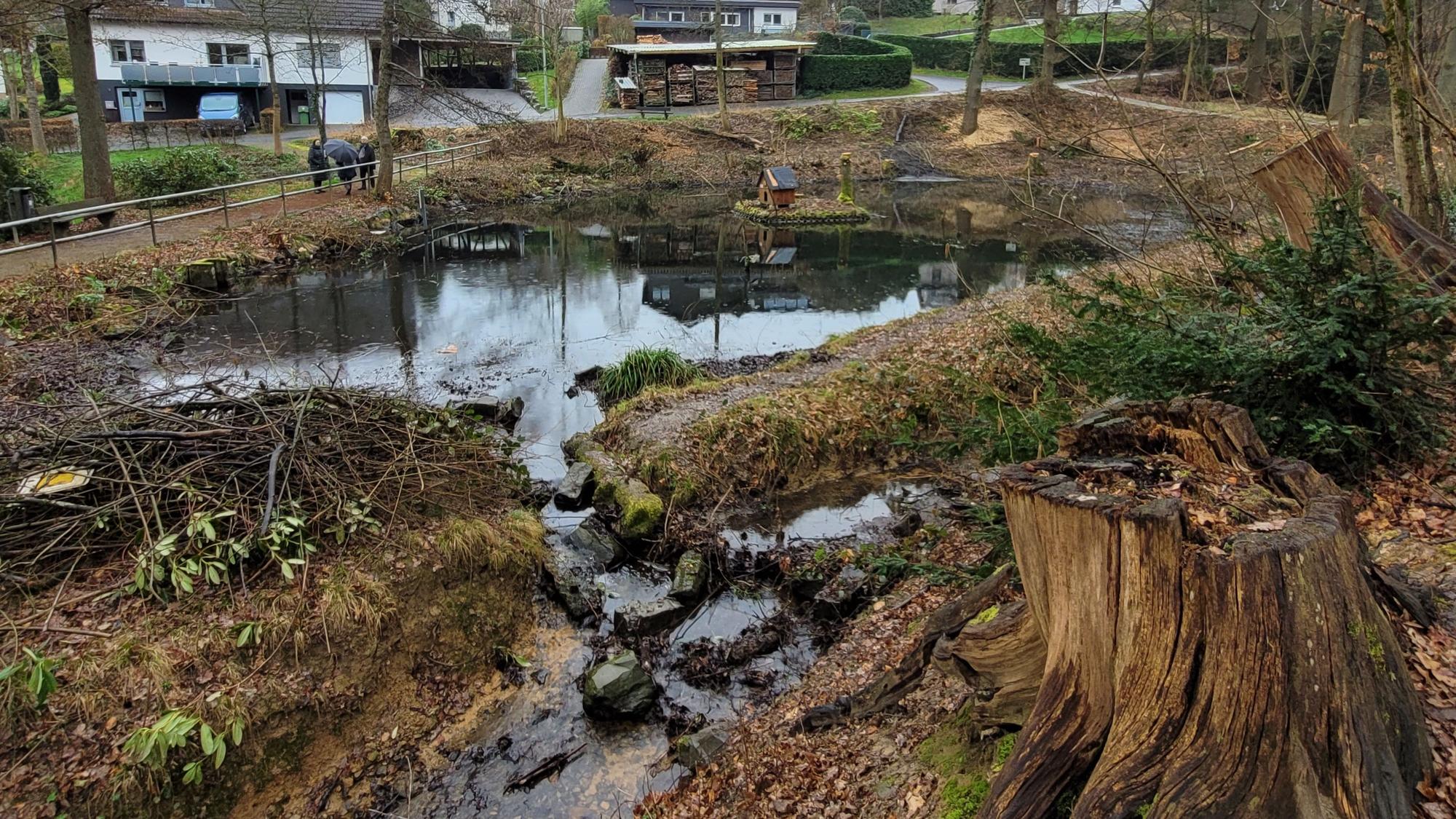 Sieht wüst aus, ist aber so gewollt: In Waldbröl ist der Wiedenhofpark nun bereit für neue, vor allem heimische Sträucher und Gewächse. Am Wochenende hat vor allem der Nabu dort geschuftet.