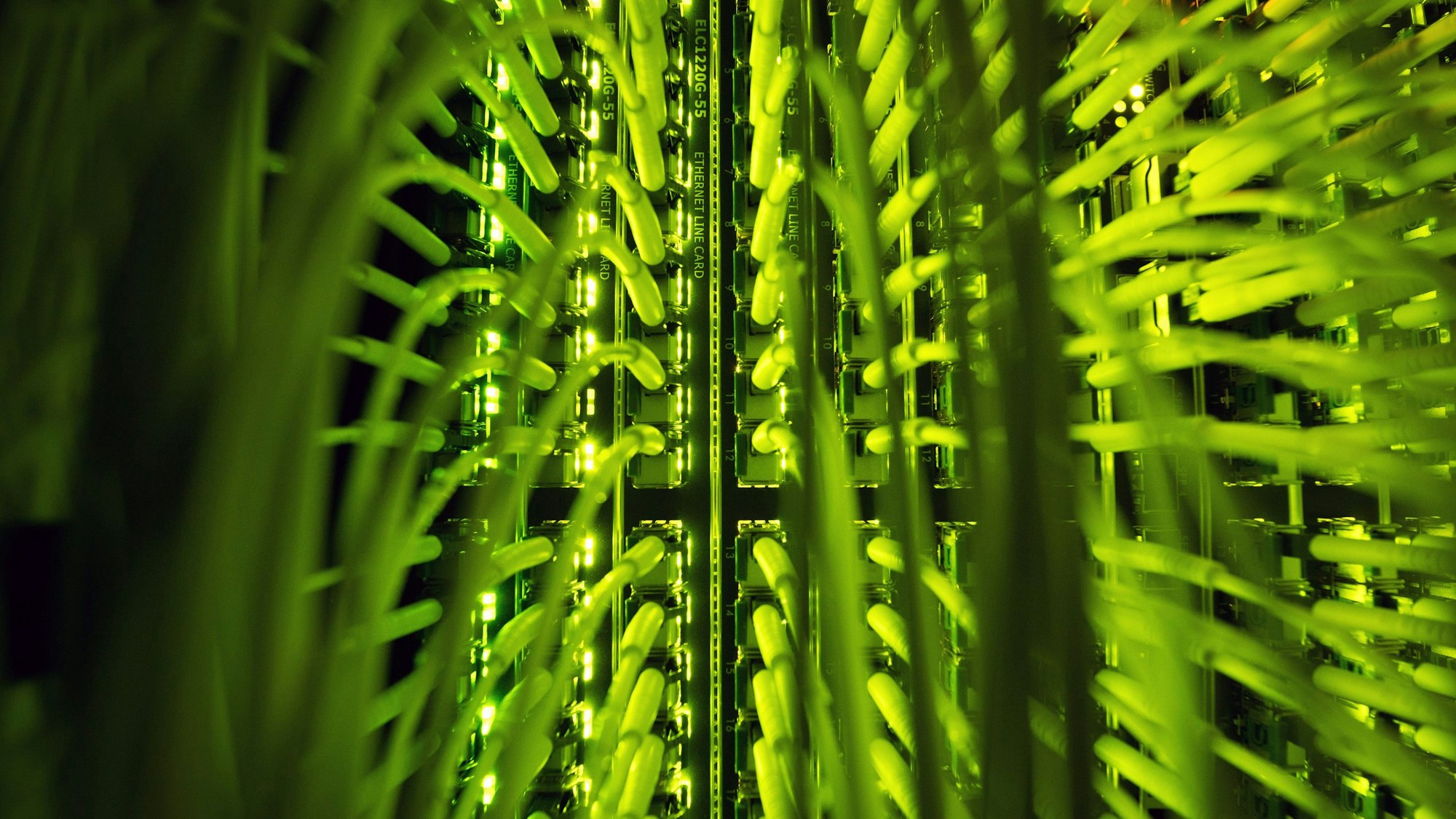 Zahlreiche Glasfaserkabel, unter anderem zur Übertragung von Hochgeschwindigkeitsinternet, laufen an einem Verteilerpunkt zusammen.