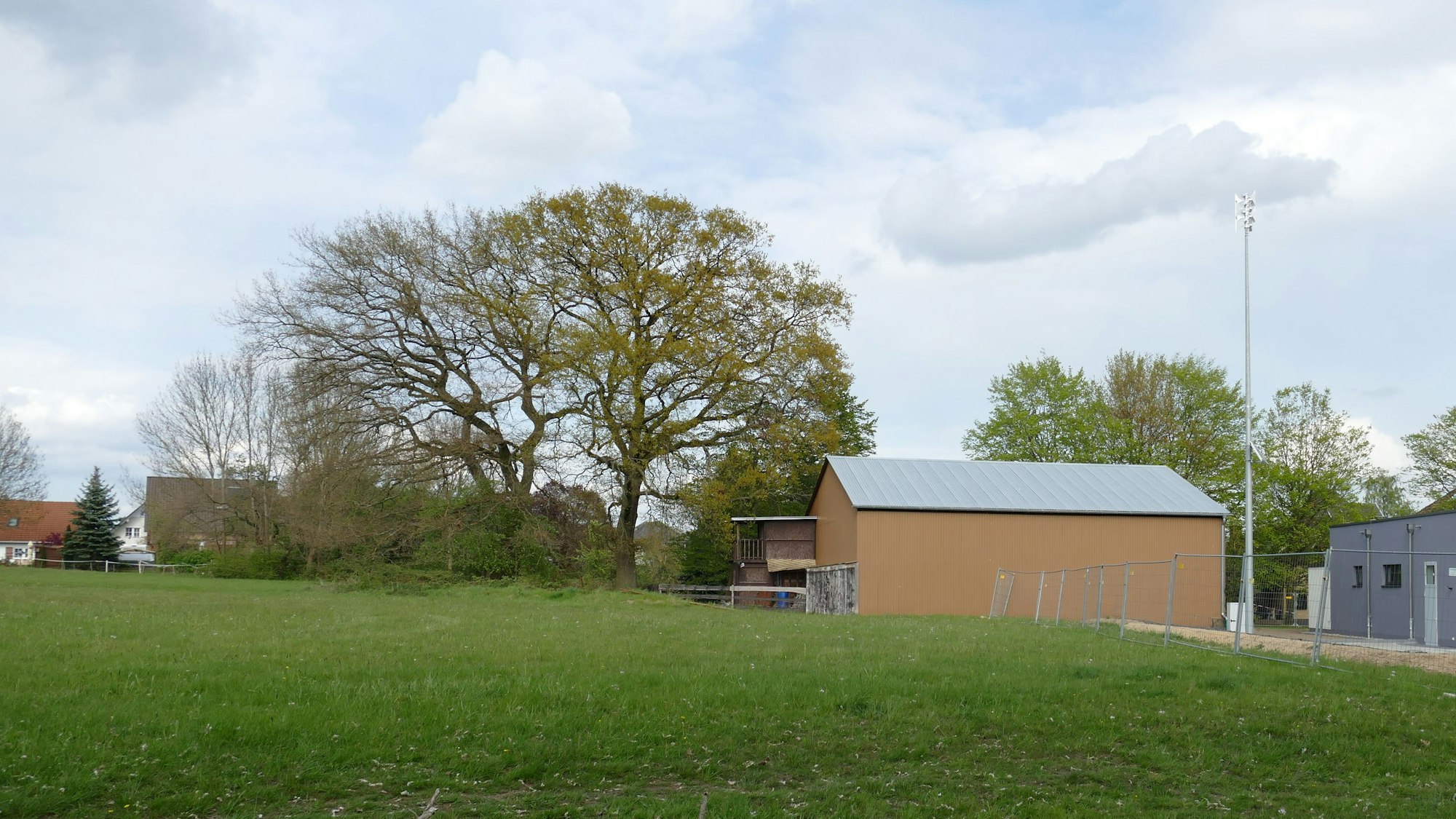Eine Wiese am Rand eines Dorfes. Im Hintergrund steht ein großer Baum, außerdem eine Scheune.