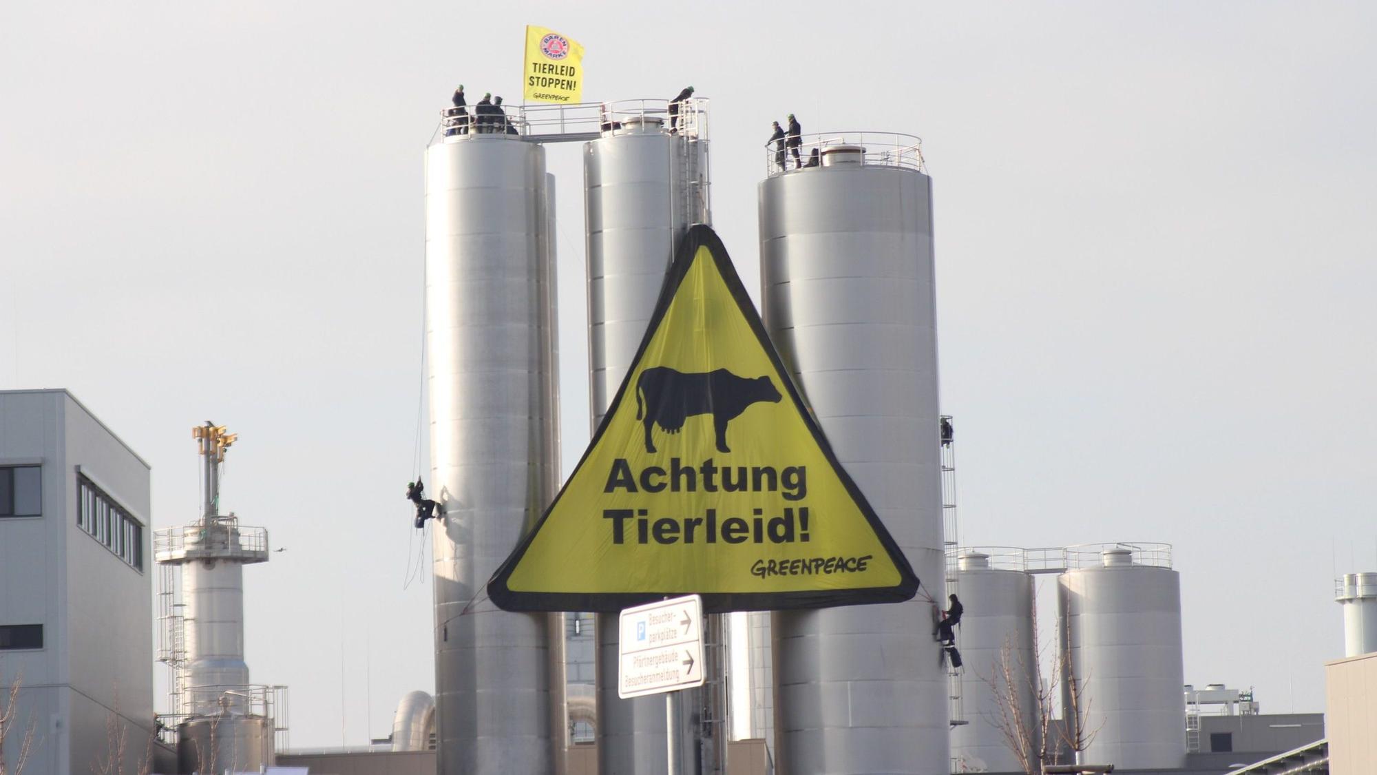 Aktivisten seilen sich an den Silos ab und breiten ein großes Banner mit der Aufschrift „Achtung Tierleid“ aus.