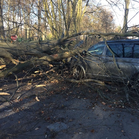 Sturmtief „Eberhard“ sorgte im März 2019 für Chaos, wie hier in Junkersdorf.