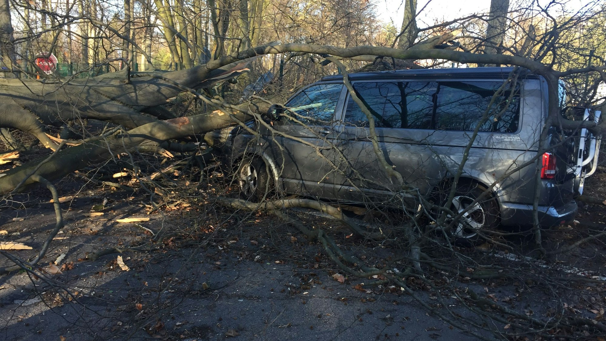 Sturmtief „Eberhard“ sorgte im März 2019 für Chaos, wie hier in Junkersdorf.