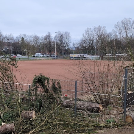 Am Zaun liegen gefällte und zerkleinerte Bäume, dahinter ist der Ascheplatz in Stommeln zu sehen.