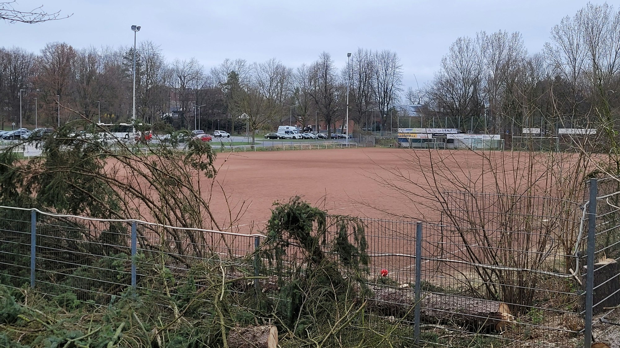 Am Zaun liegen gefällte und zerkleinerte Bäume, dahinter ist der Ascheplatz in Stommeln zu sehen.