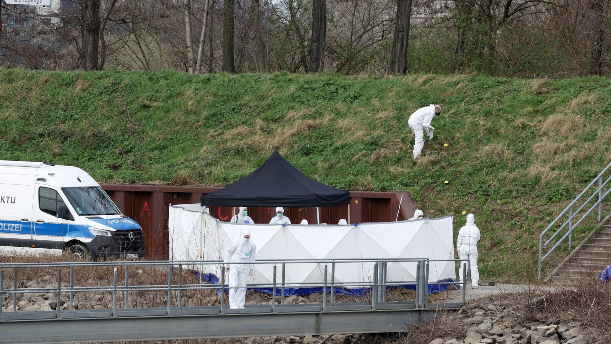 Beamte der Spurensicherung durchkämmen ein Grünstück auf der Landzunge im Mülheimer Hafen.