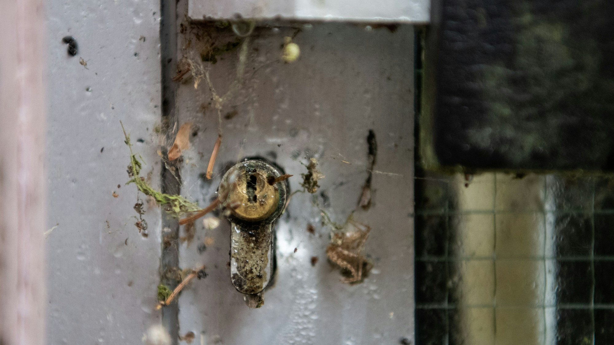 Das Haustürschloss eines seit längerem unbewohnten Hauses