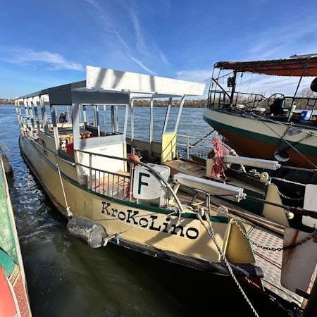 Fähre Krokolino liegt auf dem Rhein.