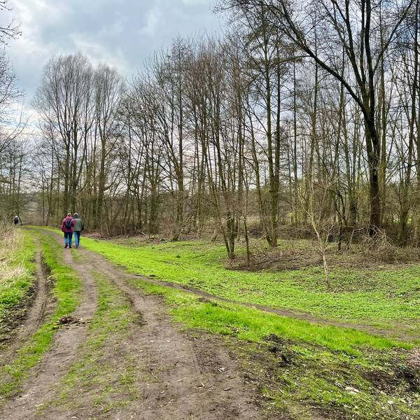 Trampelpfad am Wupperufer