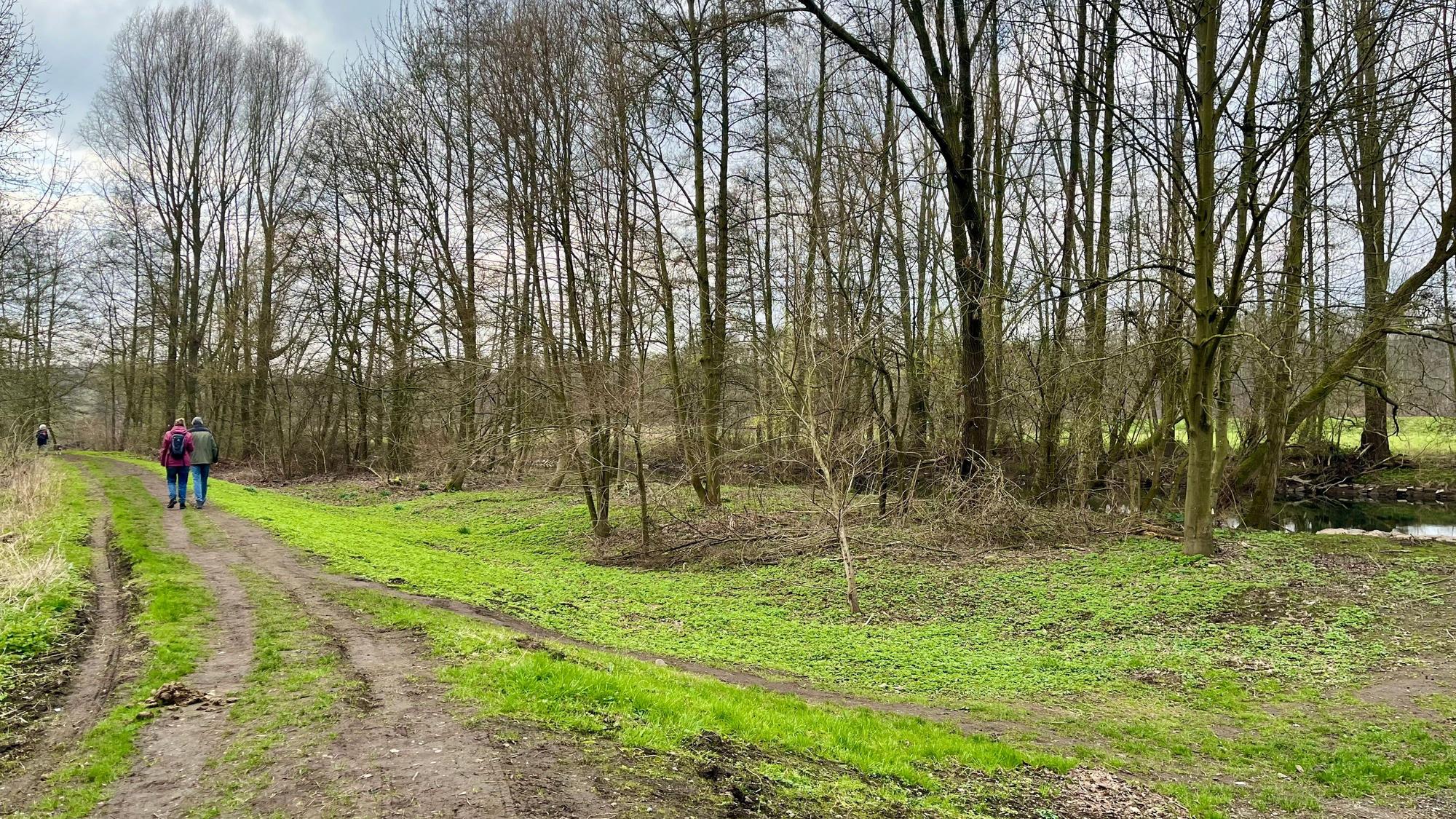 Trampelpfad am Wupperufer