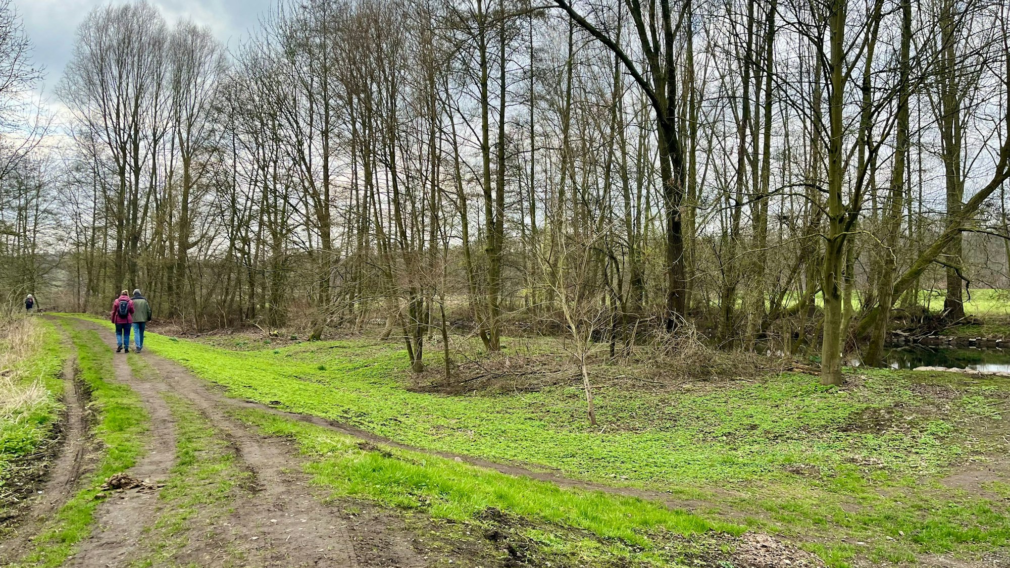 Trampelpfad am Wupperufer