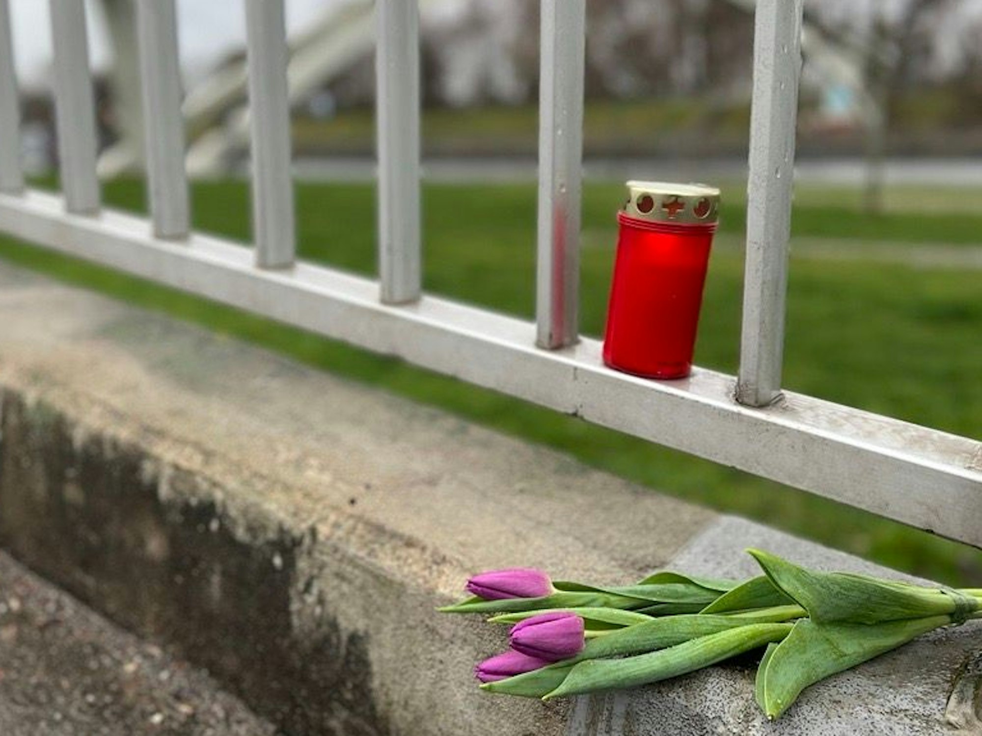 Eine Grabkerze und drei Tulpen liegen auf der Fußgängerbrücke im Mülheimer Hafen.
