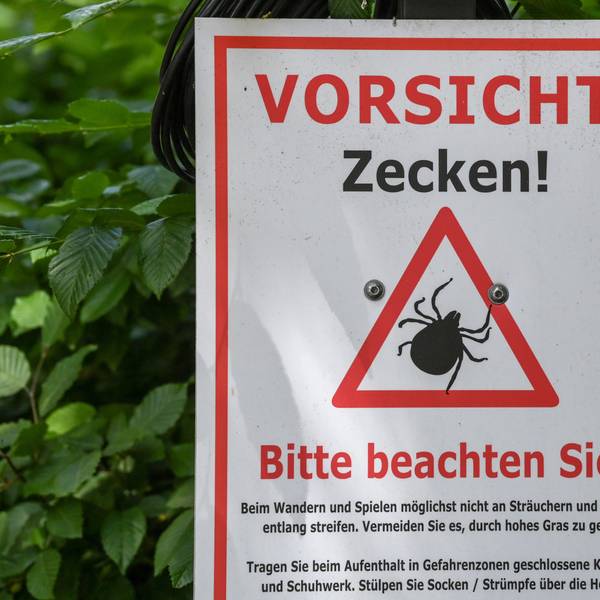 "Vorsicht! Zecken!" steht auf einem Warnschild.