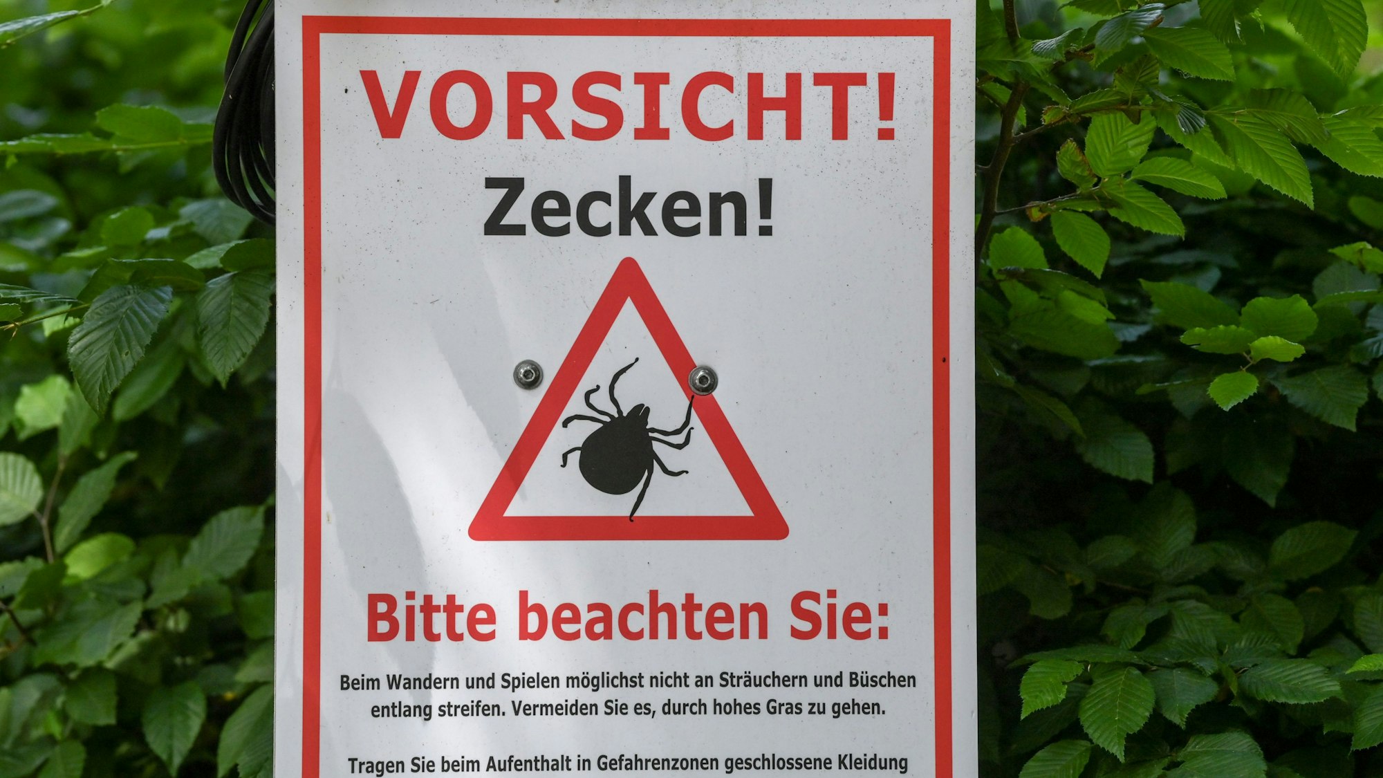 "Vorsicht! Zecken!" steht auf einem Warnschild.