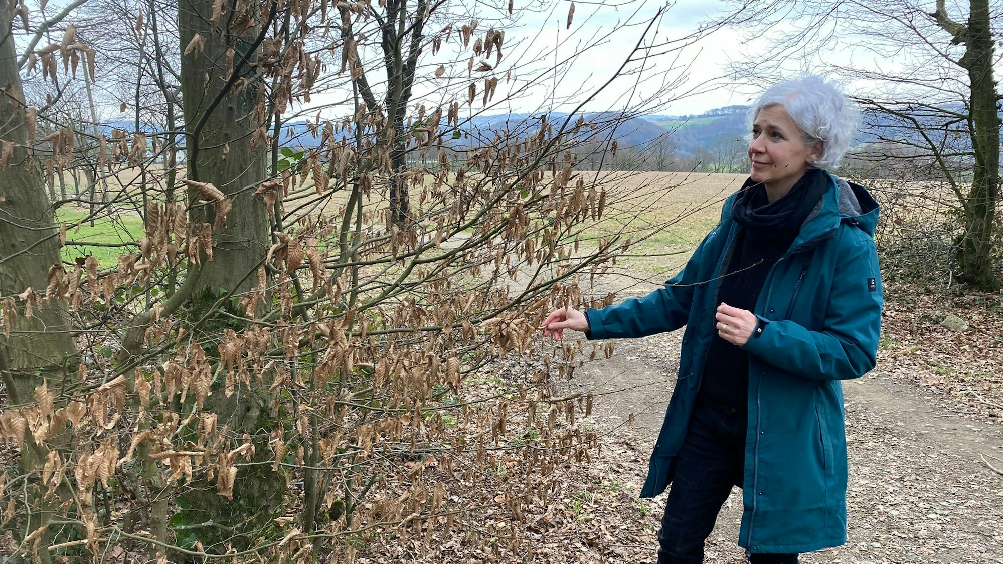 Eine Frau steht auf einem Waldweg und fasst die Zweige eines Baums am Wegesrand an.
